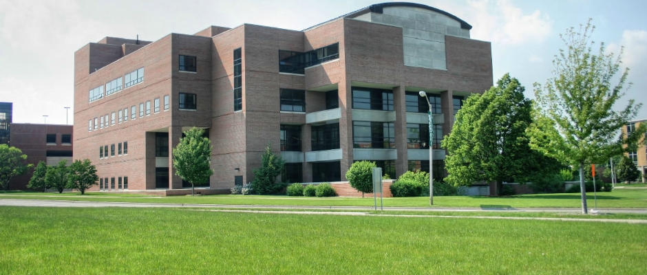 密歇根州立大学/michigan state university