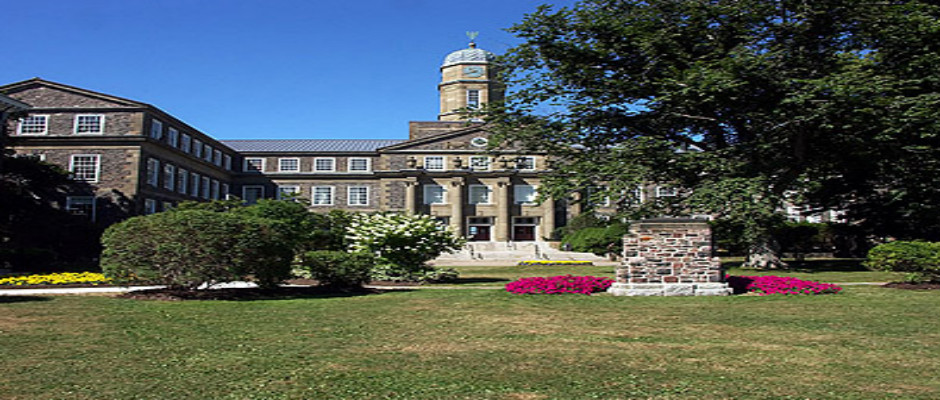 达尔豪斯大学